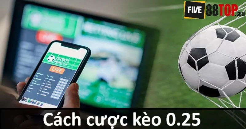 Kèo 0.25 được hiểu là gì?